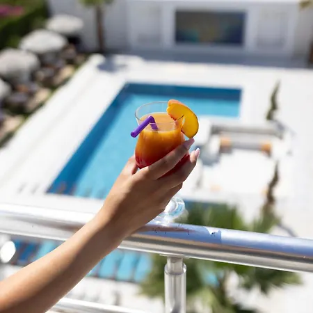 Kont Exclusive 디딤