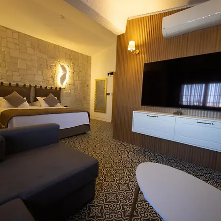 Kont Exclusive 디딤